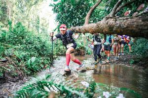 BIB: 
                            <button type="button" onclick="openModal(25516275)" class="btn btn-primary btn-sm float-right btn-popup" data-toggle="modal" data-target=".modal-high-quality">
                        <i class="fas fa-shopping-cart"></i> Add to Cart
                    </button>
                                            <button type="button" onclick="isThisMe(25516275, true)" class="btn btn-success btn-sm float-right btn-popup btn-isme hidden" data-toggle="tooltip" data-placement="bottom" title="นี่คือรูปของคุณใช่ไหม คลิกที่นี่เพื่อเอาเข้าอัลบั้ม">
                        <i class="fas fa-plus"></i> Add to album
                    </button>
                    <button type="button" onclick="isThisMe(25516275, false)" class="btn btn-warning btn-sm float-right btn-popup btn-isnotme hidden">
                        <i class="fas fa-ban"></i> Remove from album
                    </button>